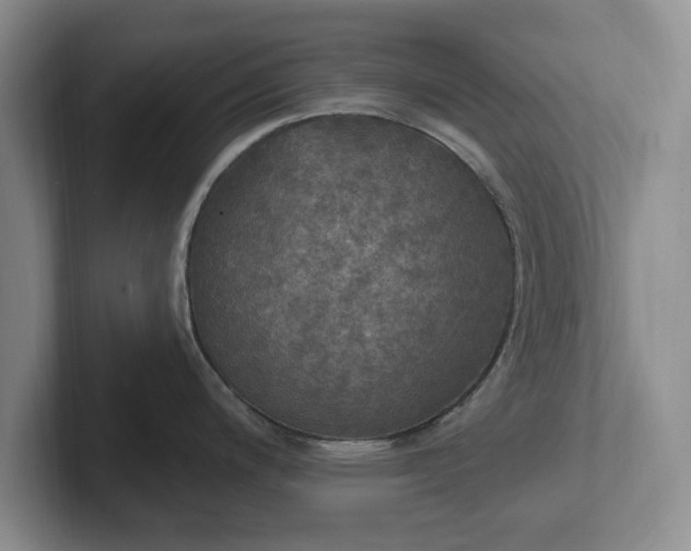 X0000102411200200808081318