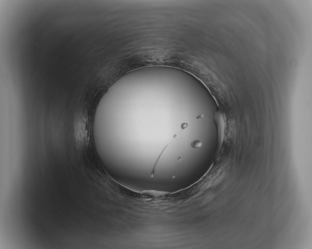 X0000102411202200808081317