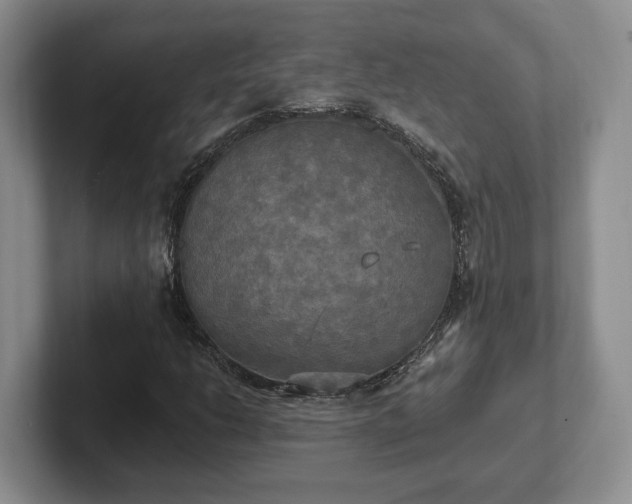 X0000102411206200808081317