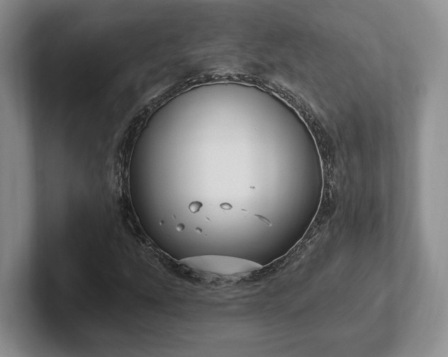 X0000102411207200808081317