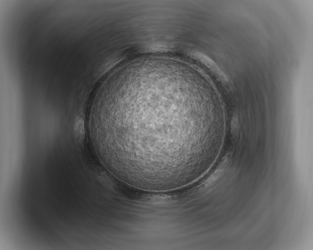 X0000102411209200808081317