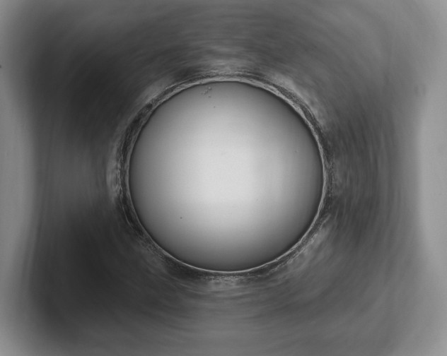 X0000102411211200808081318