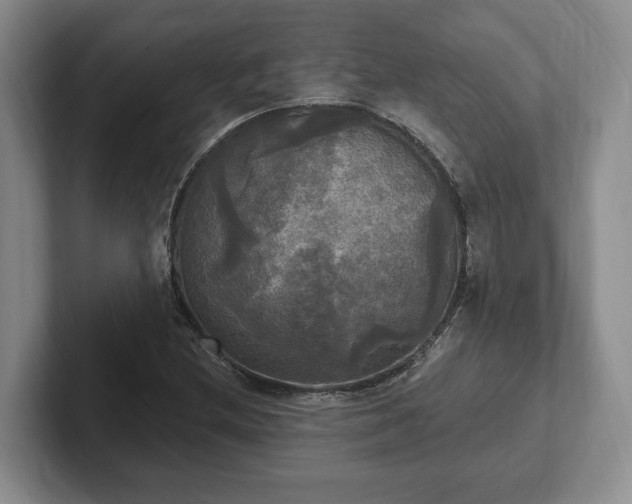 X0000102411212200808081318