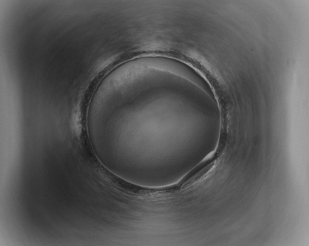 X0000102411213200808081318