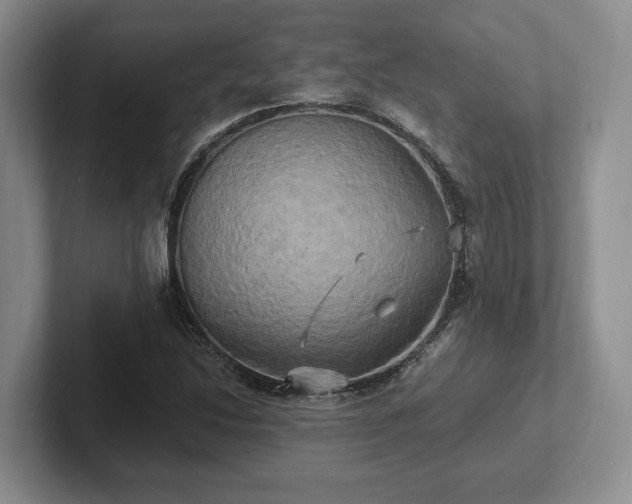 X0000102411214200808081318