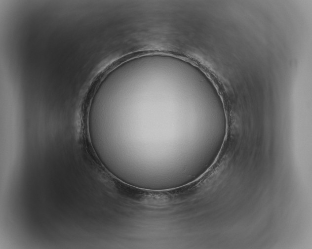 X0000102411215200808081318