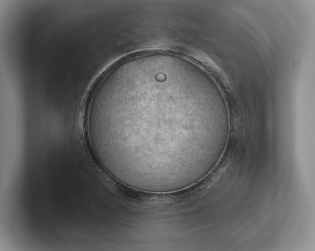 X0000102411216200808081318