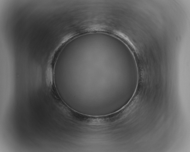 X0000102411219200808081318