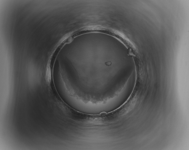 X0000102411221200808081318