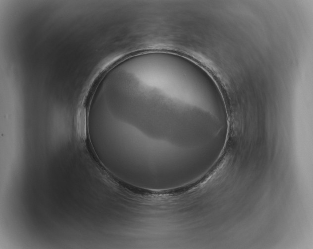 X0000102411223200808081318