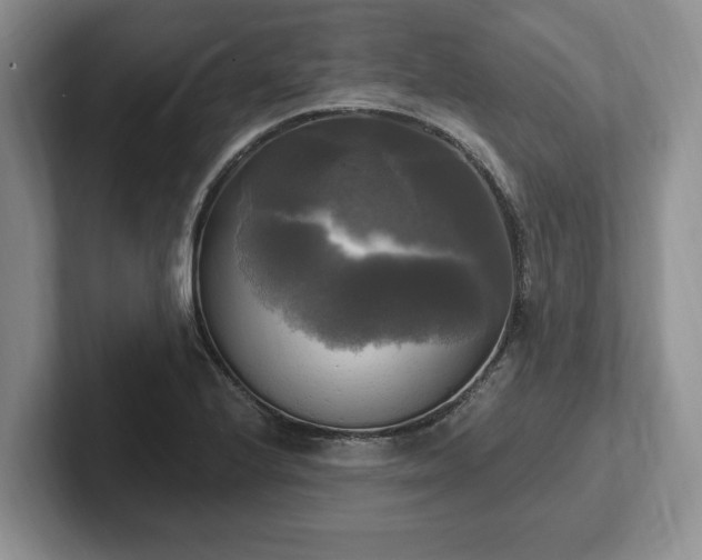 X0000102411224200808081318