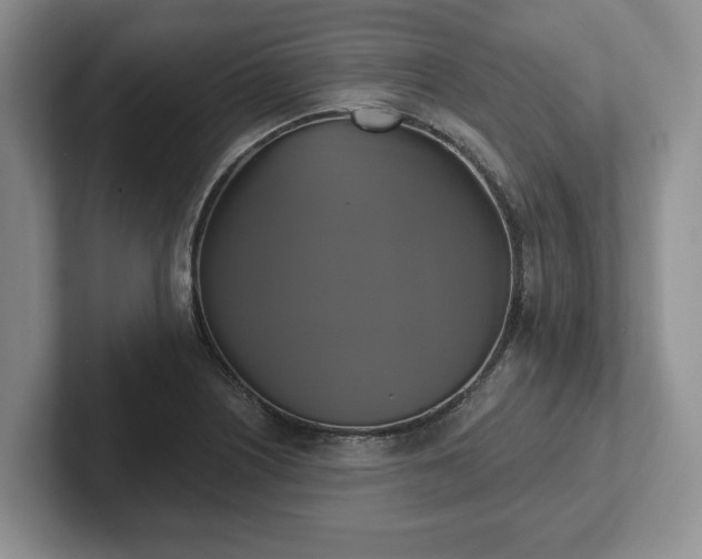 X0000102411226200808081318