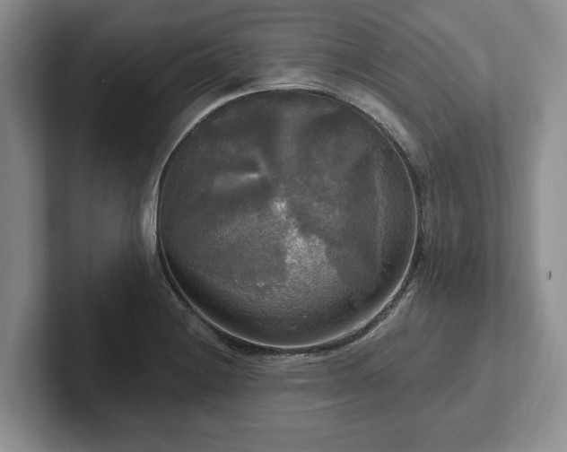 X0000102411228200808081318