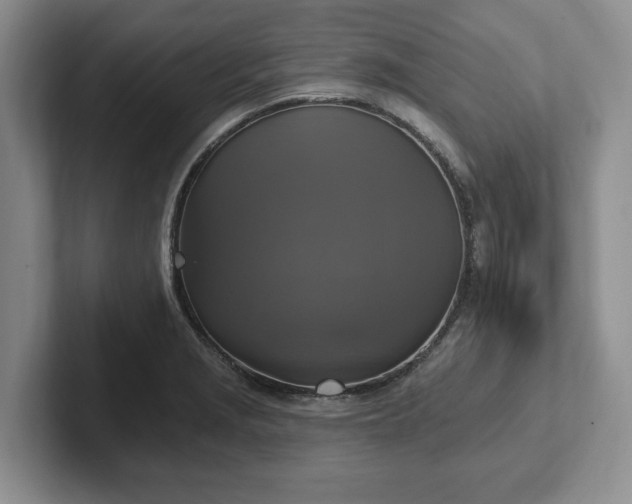 X0000102411229200808081318