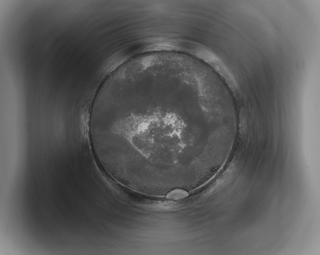 X0000102411233200808081318