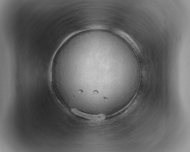 X0000102411236200808081318