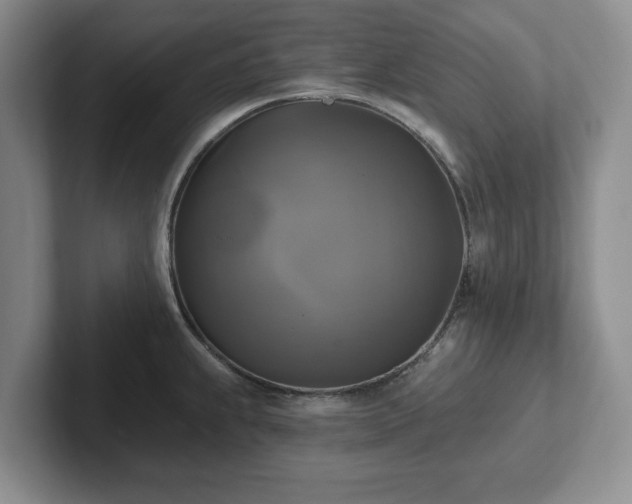 X0000102411239200808081318