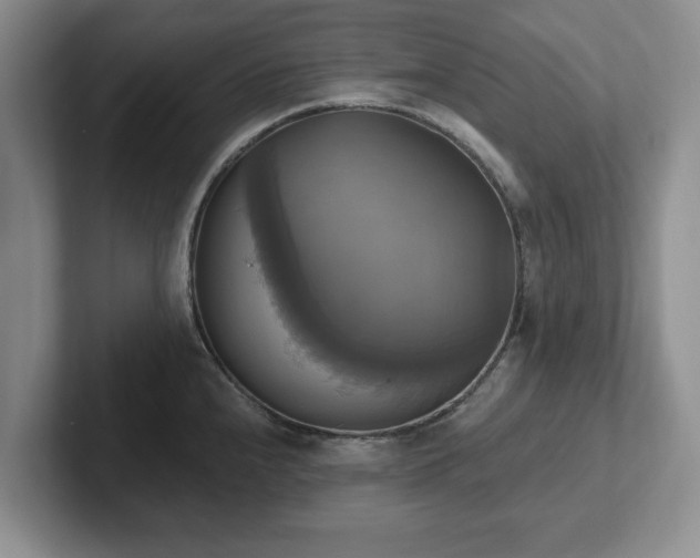 X0000102411240200808081318