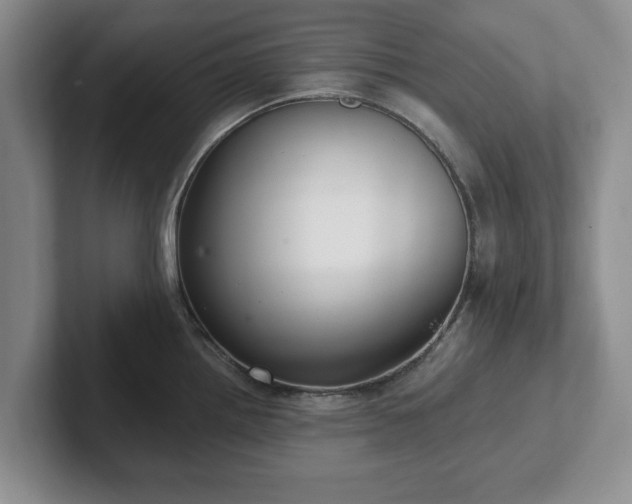 X0000102411242200808081318