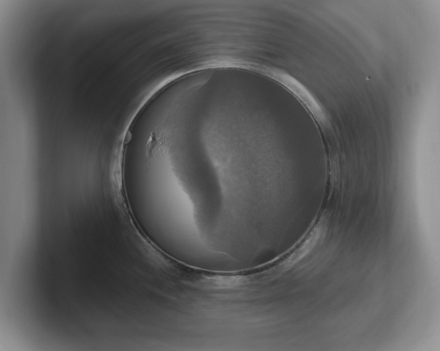 X0000102411244200808081318