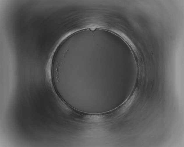 X0000102411246200808081318