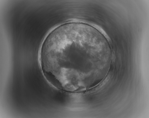 X0000102411247200808081318