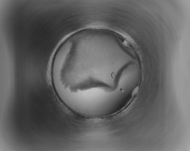 X0000102411248200808081318