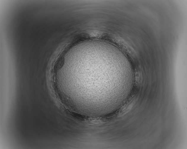 X0000102411249200808081317