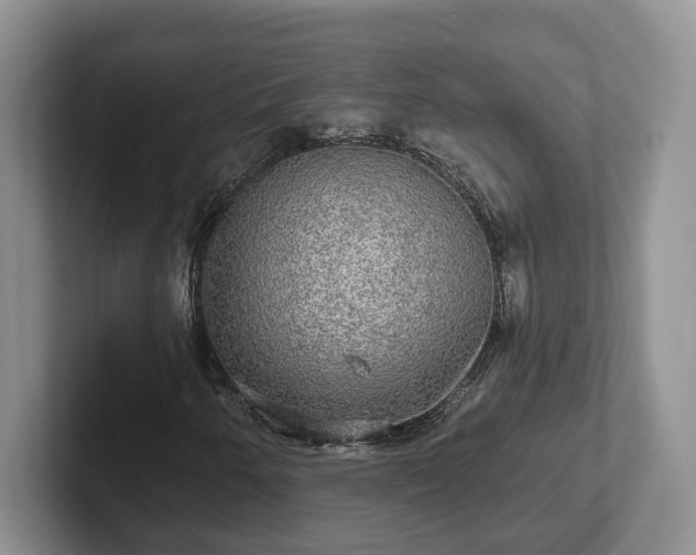 X0000102411250200808081317