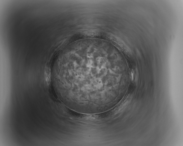 X0000102411251200808081317