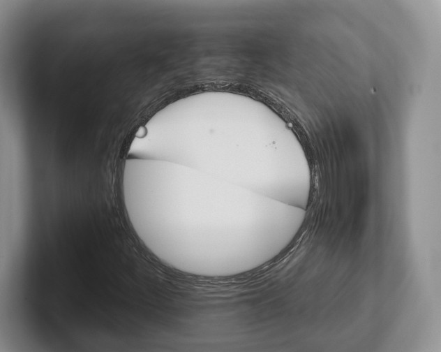 X0000102411252200808081317