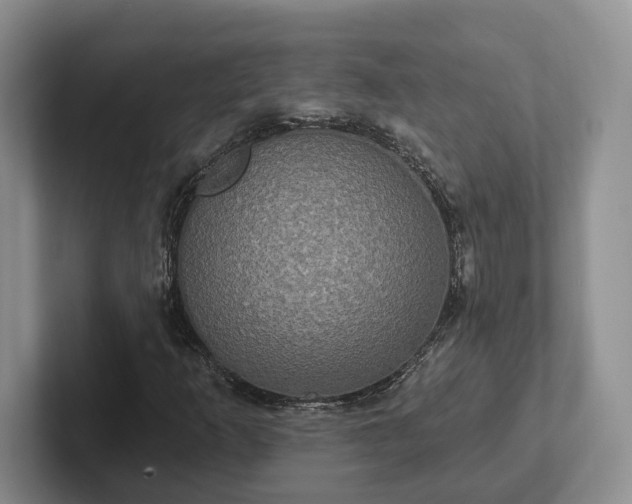 X0000102411253200808081317