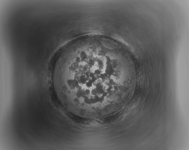 X0000102411255200808081317