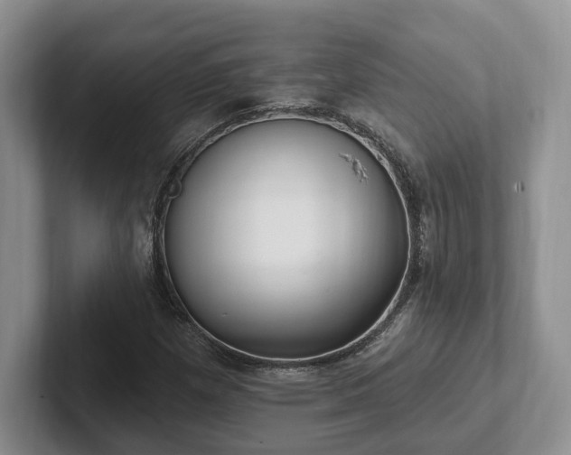 X0000102411257200808081317