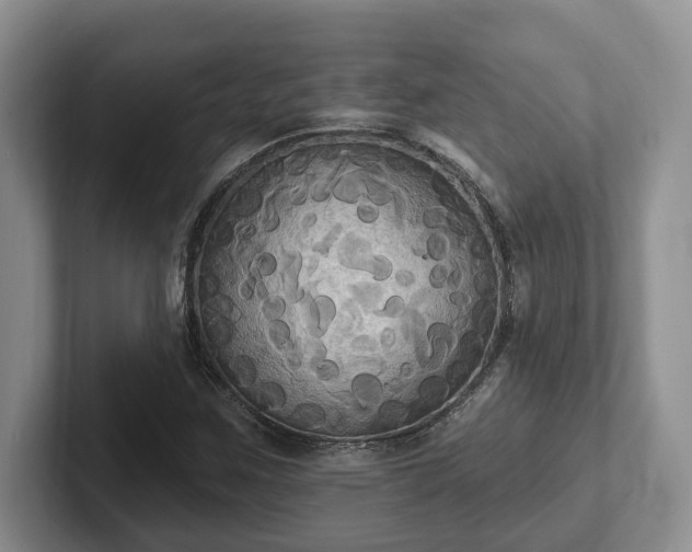 X0000102411259200808081317