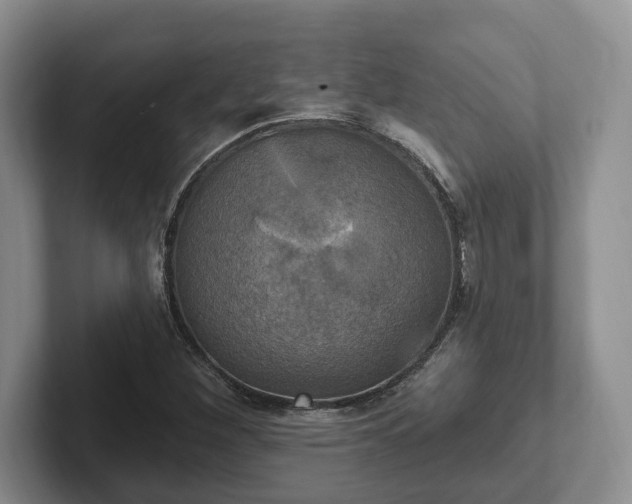 X0000102411260200808081317