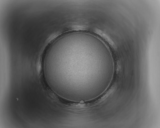 X0000102411261200808081317