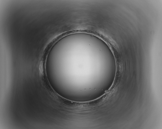 X0000102411262200808081317