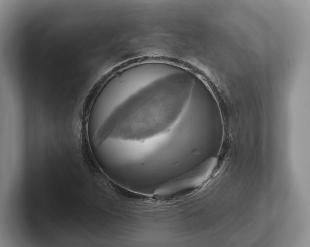 X0000102411263200808081317