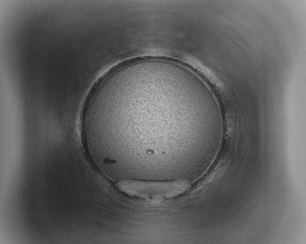 X0000102411264200808081317