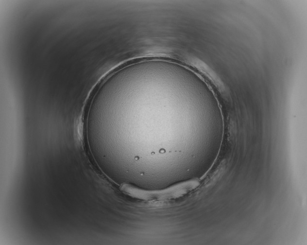 X0000102411268200808081317