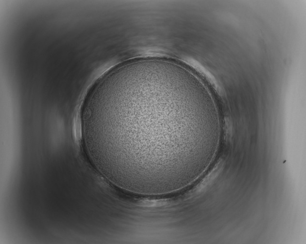 X0000102411269200808081317