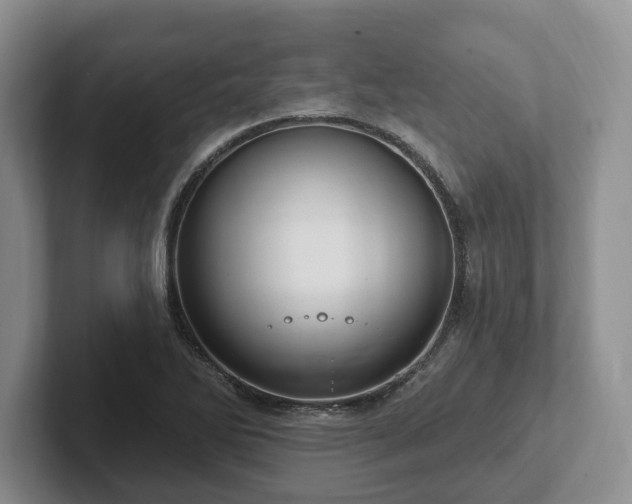 X0000102411270200808081317