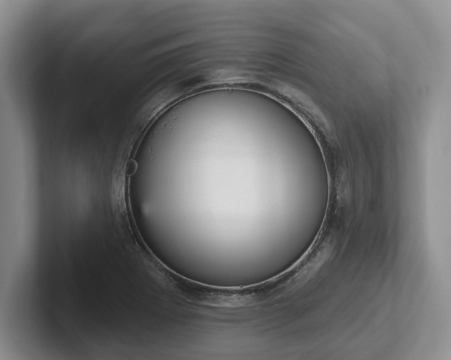 X0000102411273200808081317