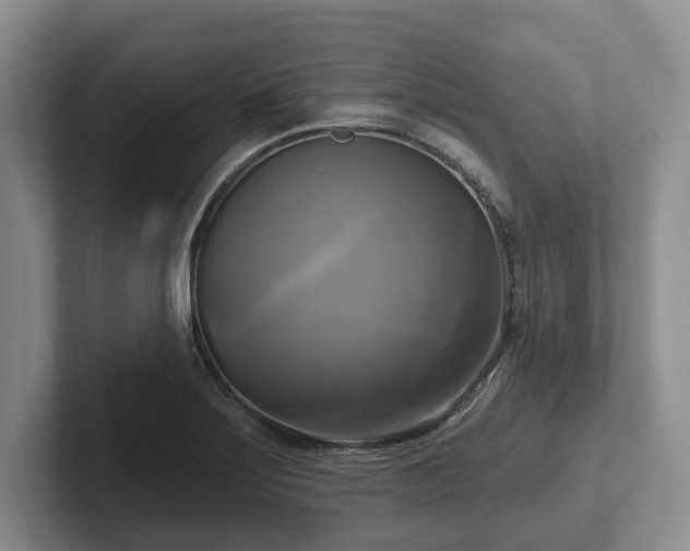 X0000102411275200808081317