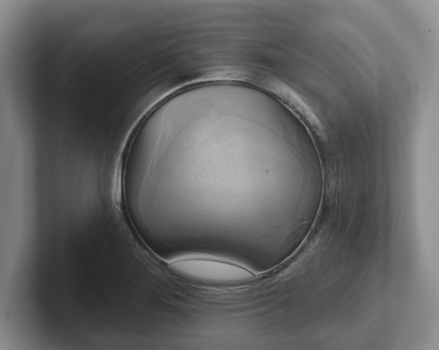 X0000102411276200808081317