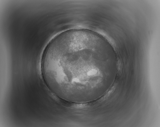 X0000102411278200808081317