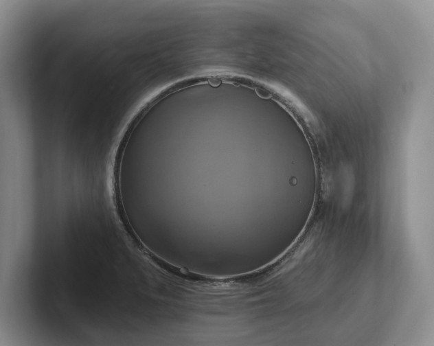 X0000102411279200808081317