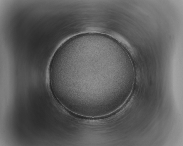 X0000102411280200808081317