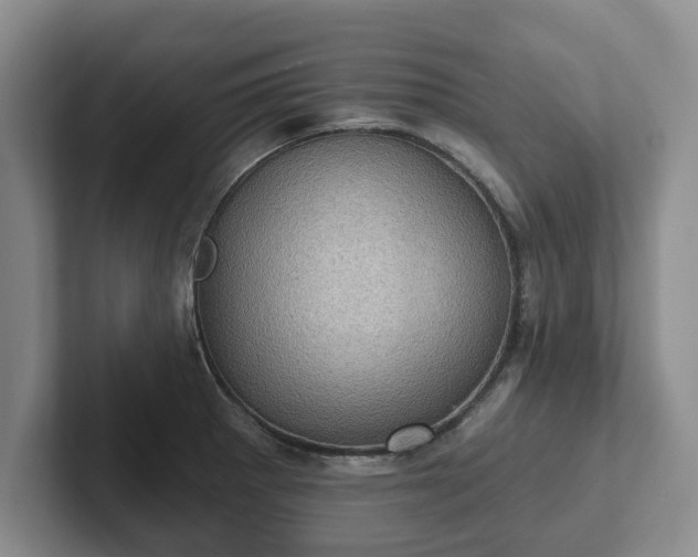 X0000102411281200808081317